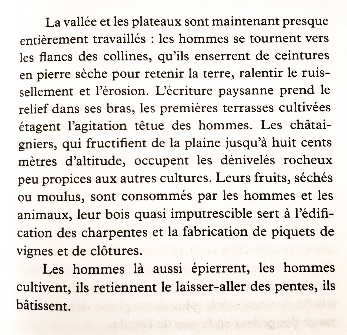 CAmmoun's tweet photo. Lire "Saufs riverains, Trilogie des rives, II" d'Emmanuelle Pagano @Prix_roman_eco chez @editionsPOL >> Roman braudélien sur le temps long, roman de l'anthropcène #ecofiction #clifi #BelleLecture https://t.co/yL7wu0vMf0