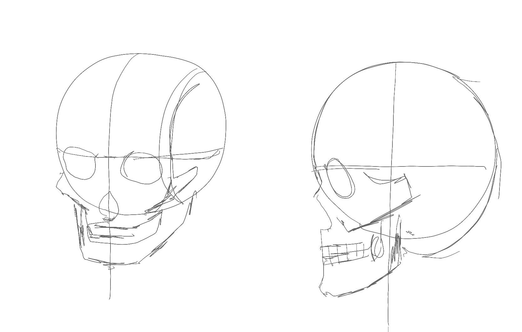 Jonadraw この骸骨が顔の中にあることを 意識しながら描けってことなんだよなー Twitter