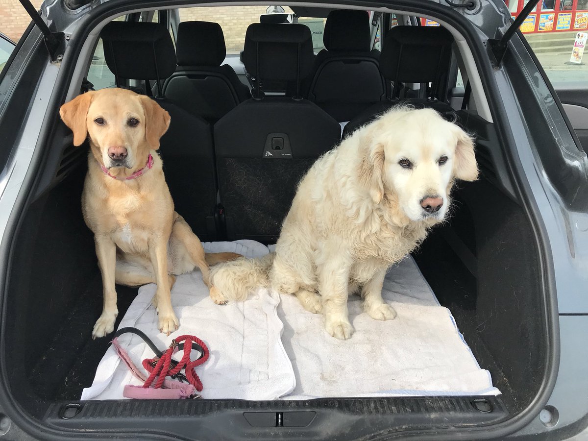 RetrieverThe's tweet photo. Great beach walk, all over now :( https://t.co/B4XRVsiHhD
