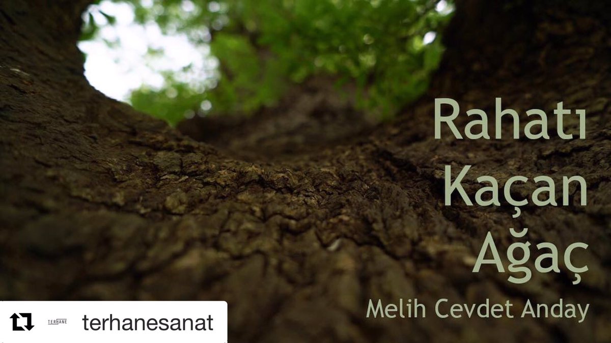 Bu akşam YAYINDA #melihcevdetanday @UmutCanGursoy <a href="/gulenay_coruh/">Gülenay Çoruh</a> <a href="/omerrdrmss/">Ömer Durmuş</a> <a href="/ozancanulas/">Ozan.</a> <a href="/ahmtaldmr/">ahmet aldemir</a> #şiirsokakta #poetry #cumartesi