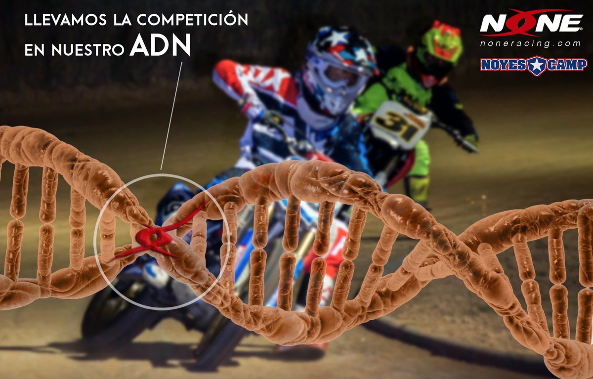 none_racing's tweet photo. Llevamos la competición en nuestro ADN.
https://t.co/BiIlDrNQ3g
@Noyes_Camp #freestyle #noneracing #nonesound #amazingsound #sonidoescape #amazing #motorbike #ms15 #pornbike #dirttrack #flattrack #enduro #trial #motocross #trail #offroad #supermotard #moto #noyescamp https://t.co/Ms9I0j5aQA