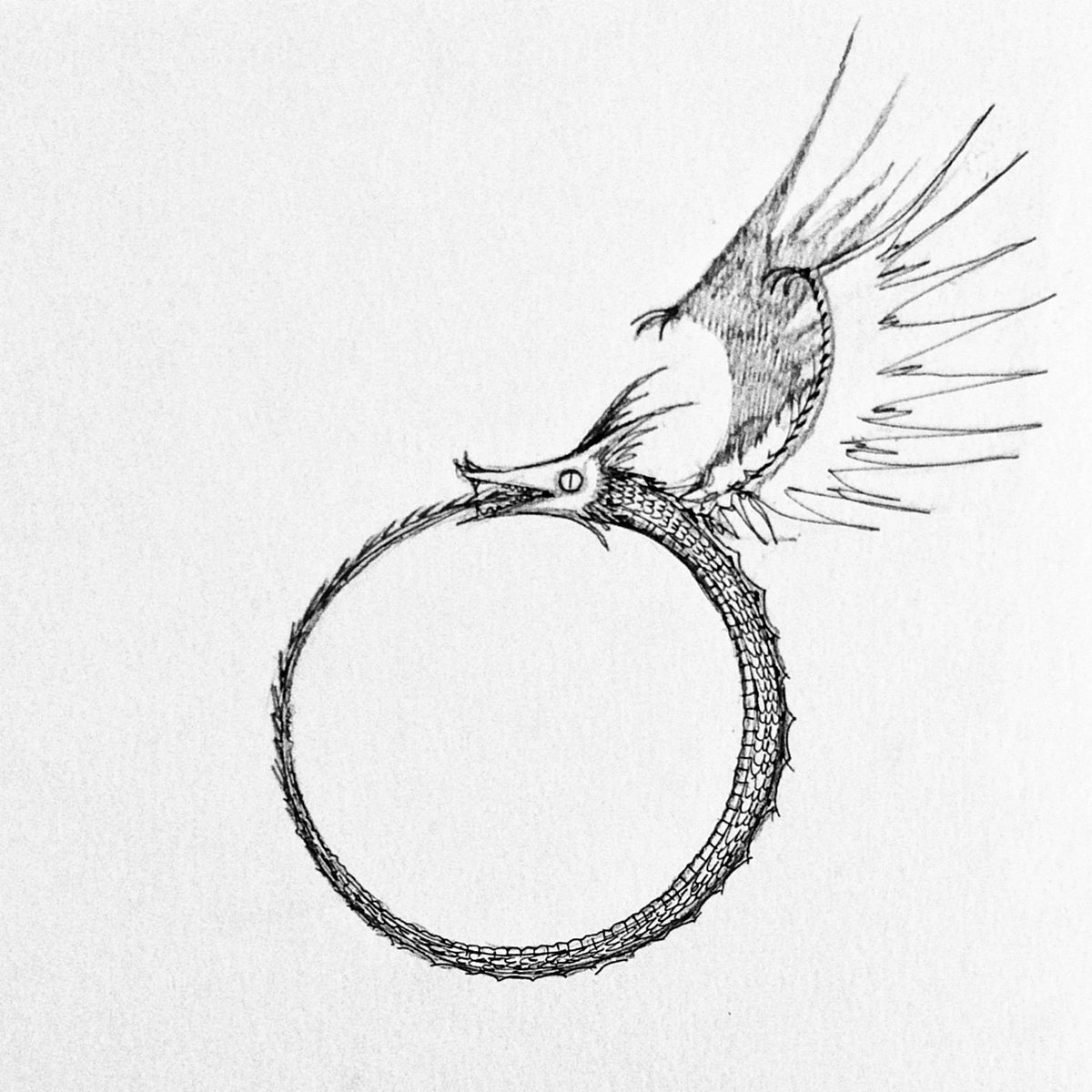 JonCarling's tweet image. #oroboros from my live drawing event at @notoriuscinema in #reggioemilia for #picnicfestival in Reggio Emilia. ♥️