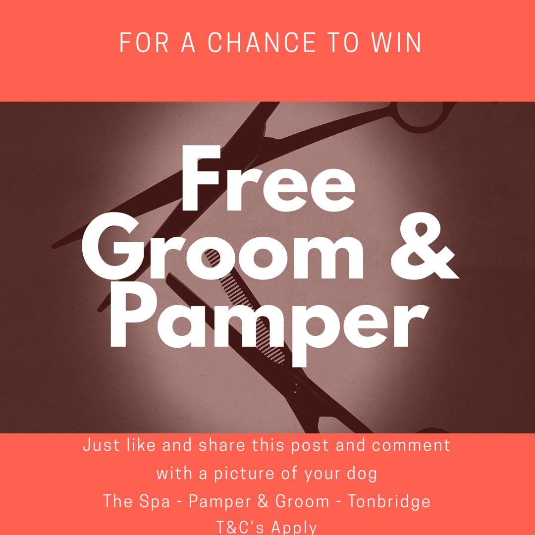 Pamper and groom the spa 2025