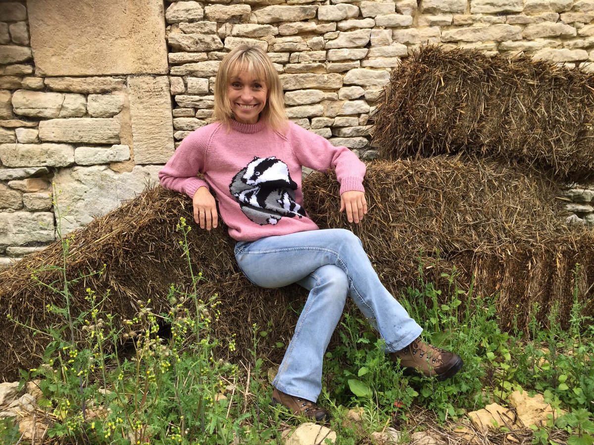 michaelastracha's tweet photo. Loving my badger jumper knitted by Mary Hunn. Fab for this series of @BBCSpringwatch . Starts Monday BBC2 8pm https://t.co/vMg0IAsxkW