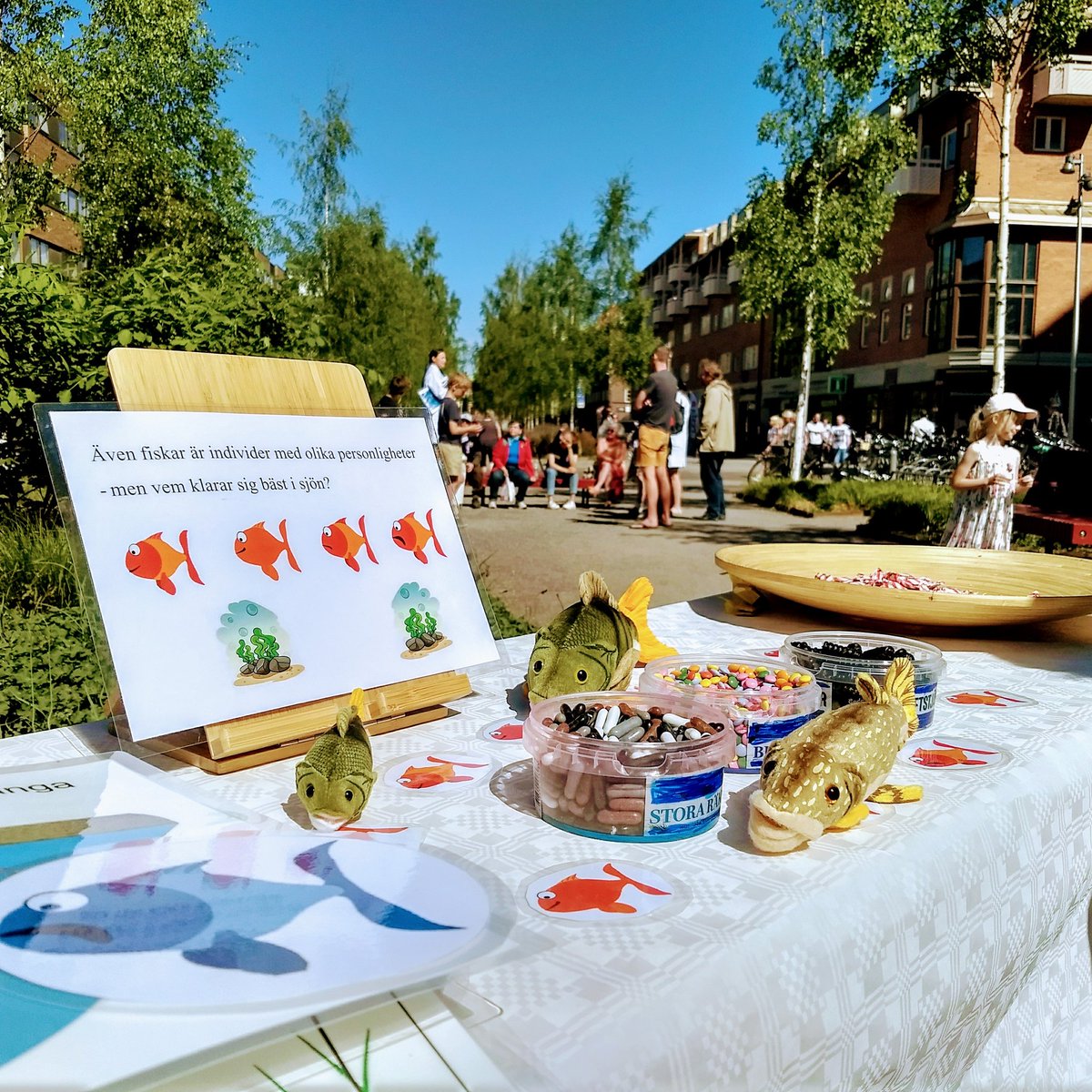 TimHofmeester's tweet photo. Did you know that fish have personalities too? Carin Magnhagen tells all about it (I just play with the fish). #scicomm #womeninsc @SBScienceUmea https://t.co/KIDTV6hlut