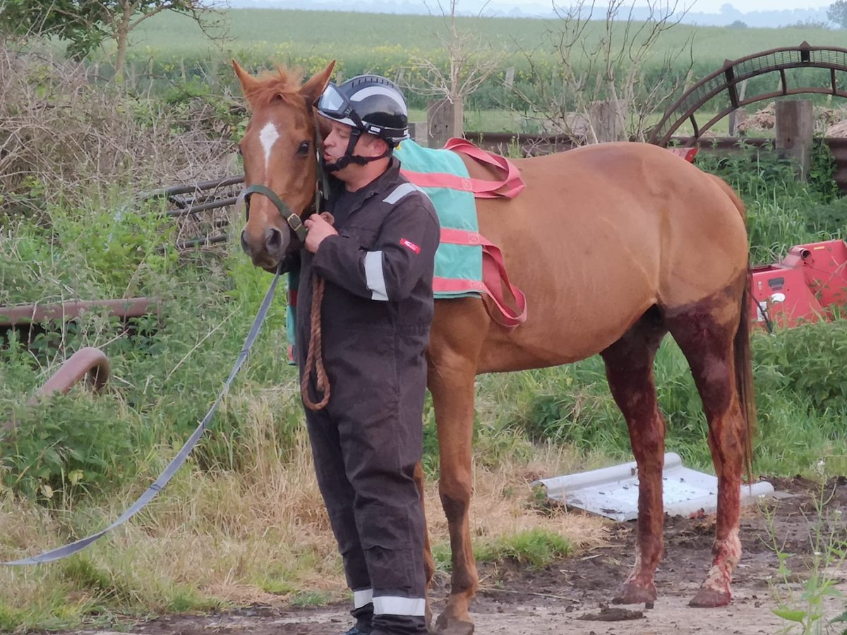 Richard Whiting tweet media