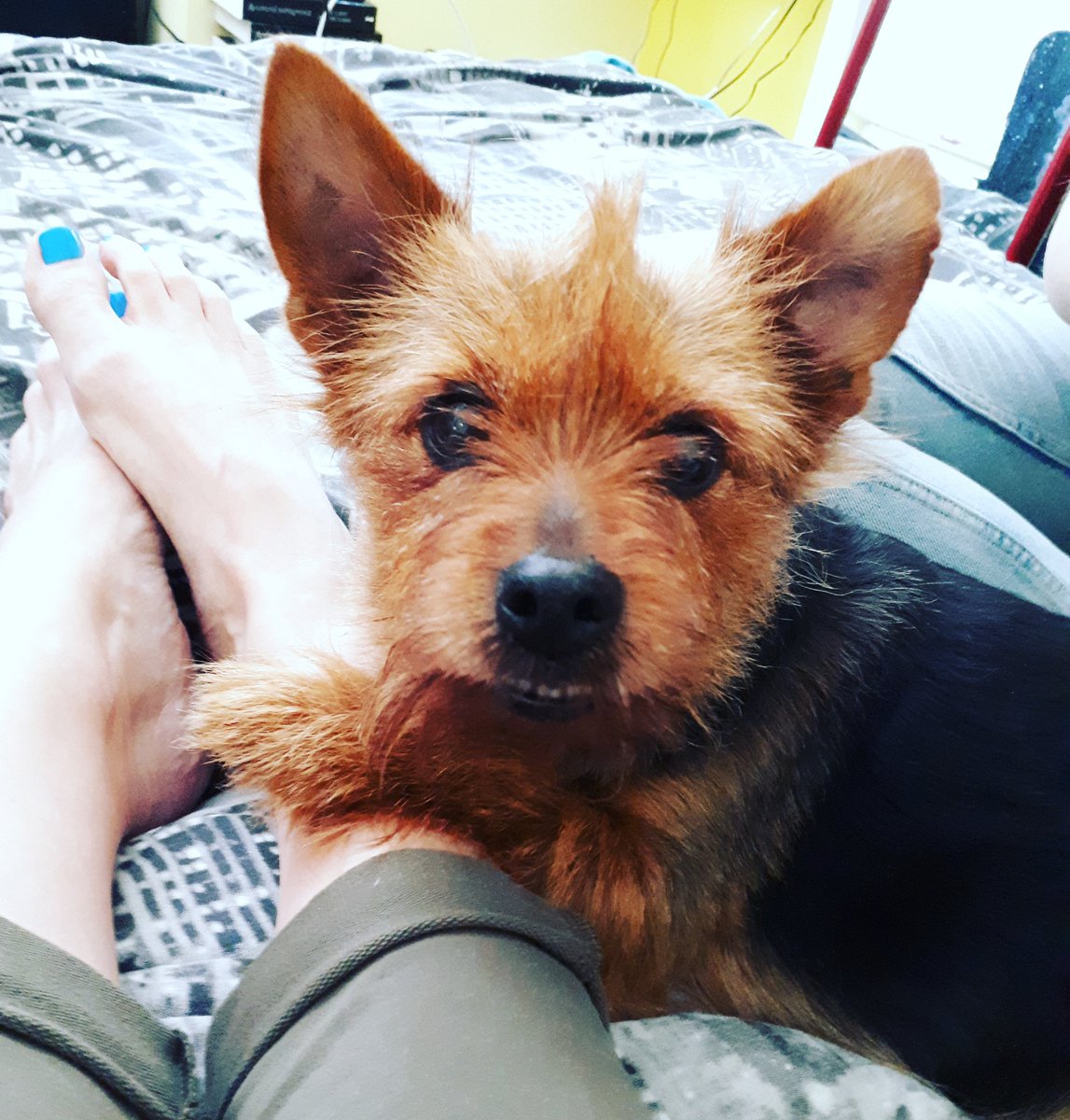 Love this little foxy lady.. 😍😍
