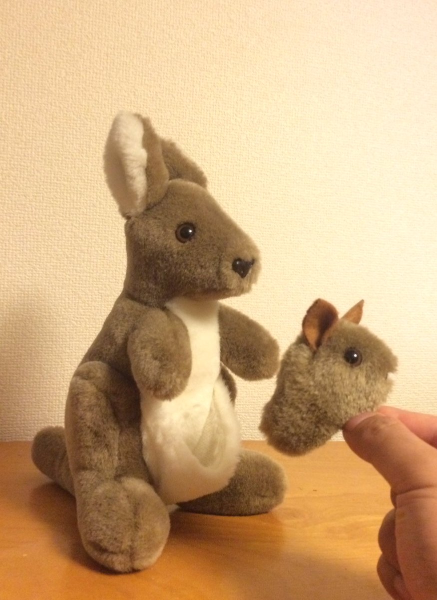 ぱっと見可愛いカンガルーのぬいぐるみ お腹の袋の中身が怖すぎた うわぁーッ 子ども泣きそう Togetter ぱっと見可愛いカンガルーのぬいぐるみ お腹の袋の中身が怖すぎた うわぁーッ 子ども泣きそう Togetter