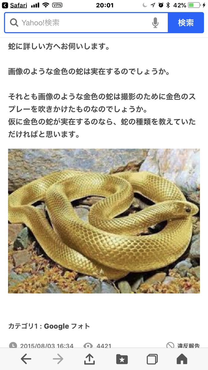 金色の蛇 金色の蛇