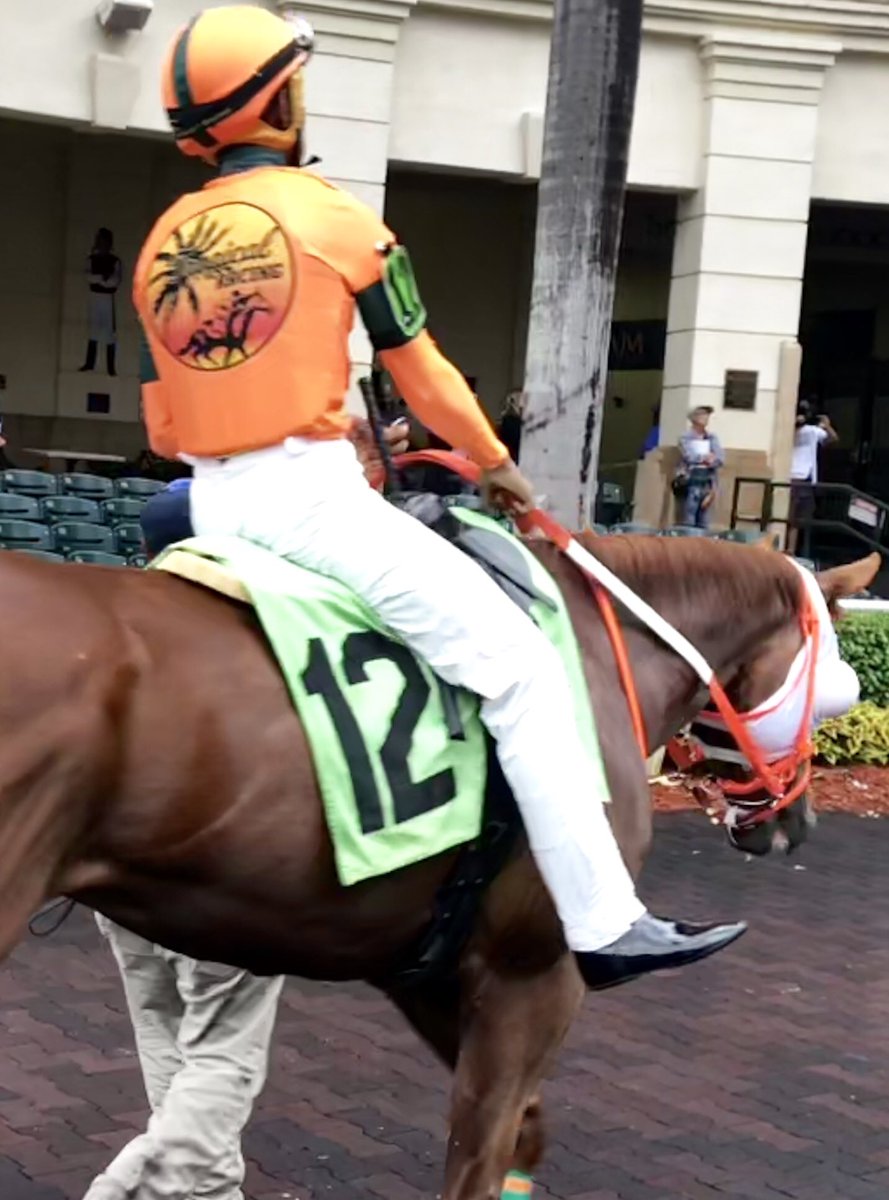 TropicalRacing tweet media