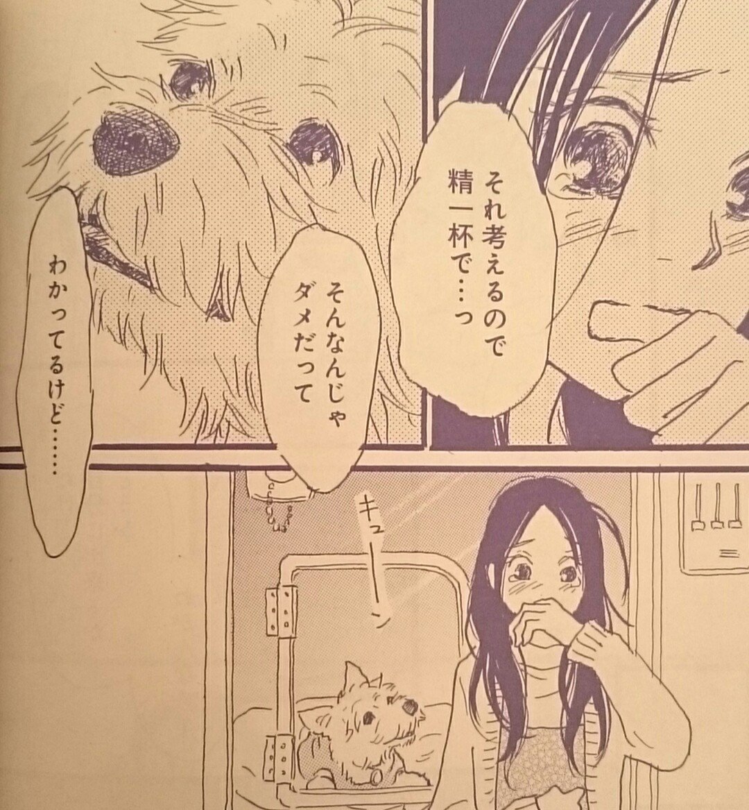 斉藤倫 ノーにゃんこ 巻12 24発売 本日5 26 Cookie 7月号 発売です 路地裏しっぽ診療所 Life 28 愛犬みらいの危機を経験して なずなは何を思うのか というお話です 最終回目前 どうぞよろしくお願いいたします