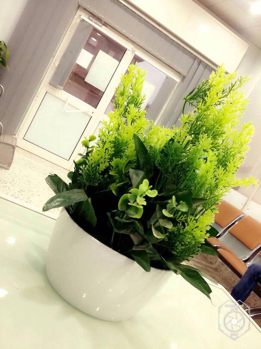 كل عام وانتم بخير،، 🌙🌙
دوام العيادة في رمضان 
من 12ظهرا.  الي 4:00مساء
وبعد الافطار 
من 9:00ليلا. الي 1:00. صباحا