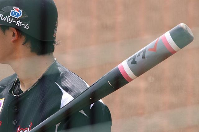 Uzivatel 俺たちのいぬくん Na Twitteru マスコットバットを振りマク Chibalotte 千葉ロッテマリーンズ ほっともっとフィールド神戸 マスコットバット バット T Co A6bz4bomfy