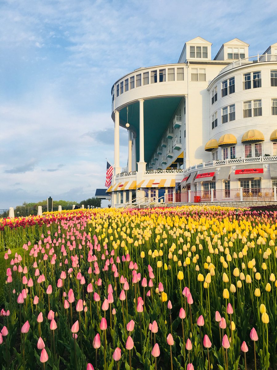 GrandHotelMI's tweet photo. Good Morning! Have a great Memorial Day Weekend! 🌷

📷 credit: Holly, a Grand Hotel employee. She captured this on her way into work this morning. 

#americassummerplace #grandhotelmichigan #puremichigan #makeitmackinac https://t.co/8u7kswO07Y