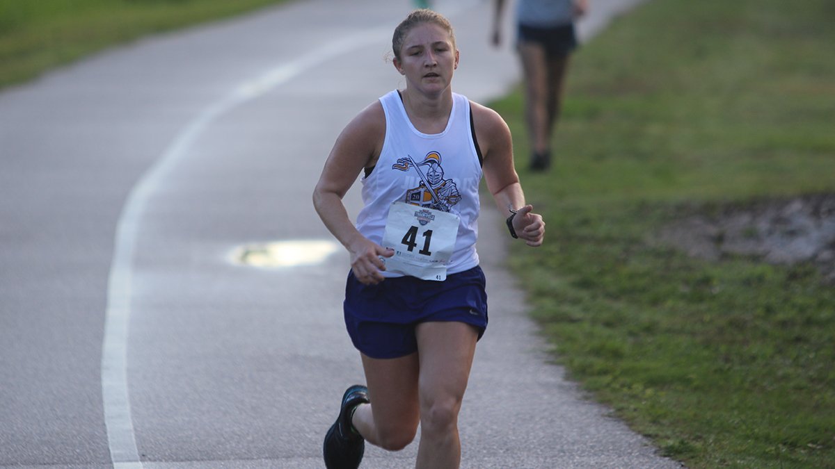 Marian Knights tweet media