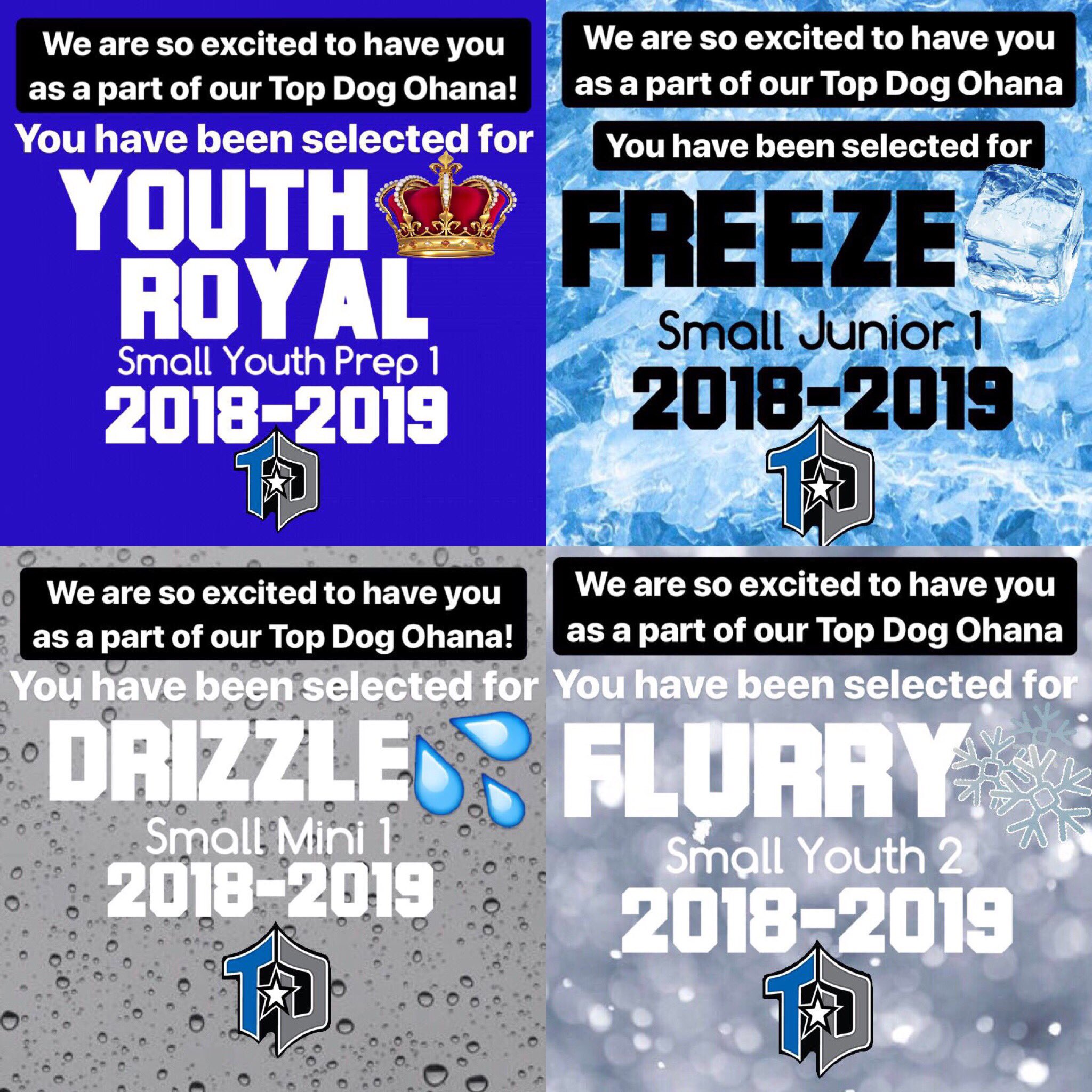 FL Top Dog AllStars on Twitter "Tryout results have been posted! With