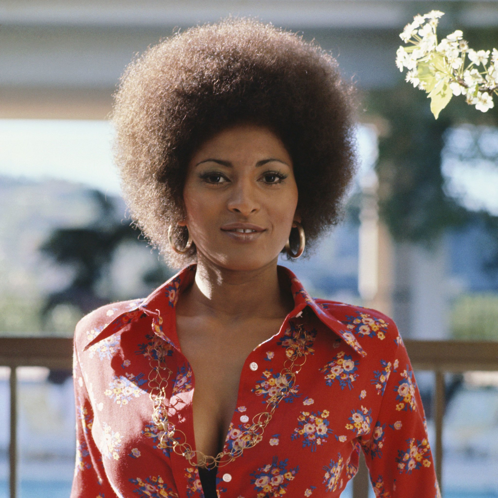 Happy birthday, Pam Grier! 