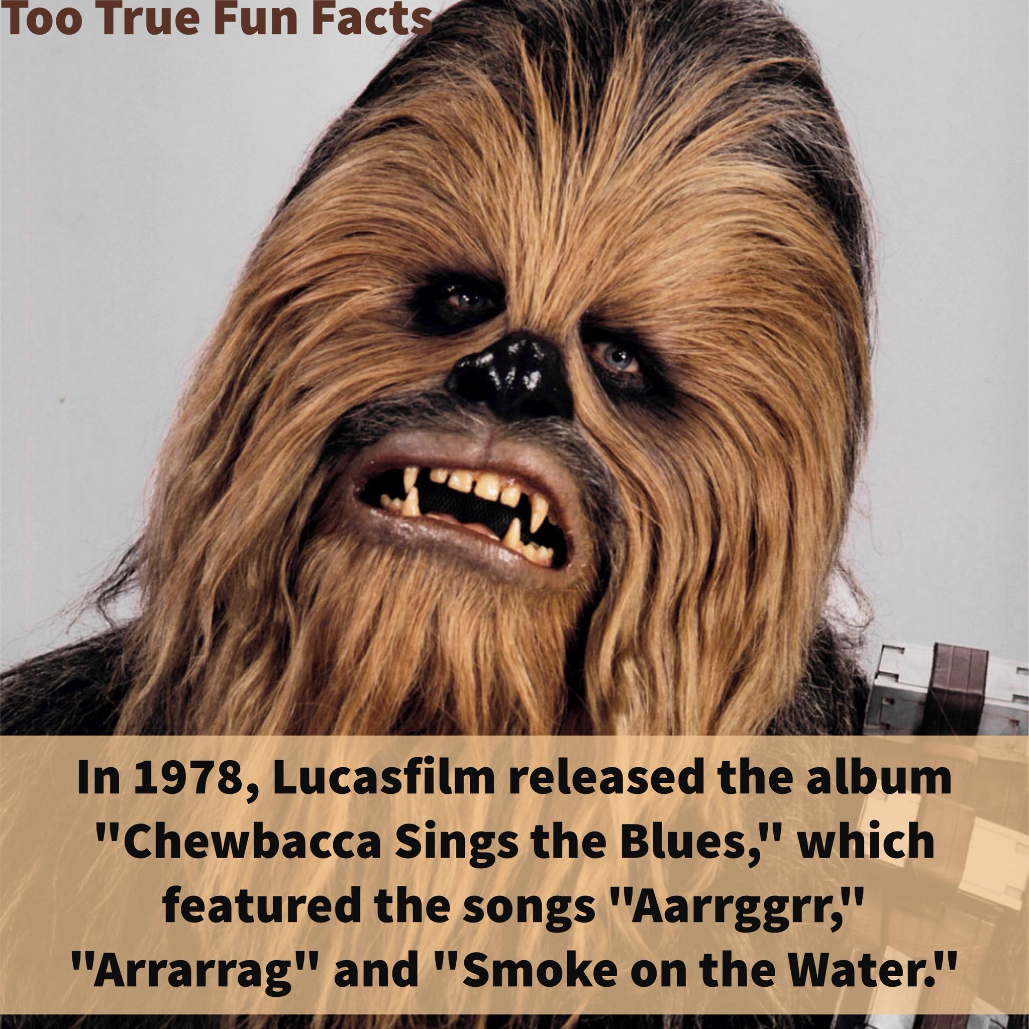 Too True Fun Facts on Twitter: Too True Fun Facts on Twitter: