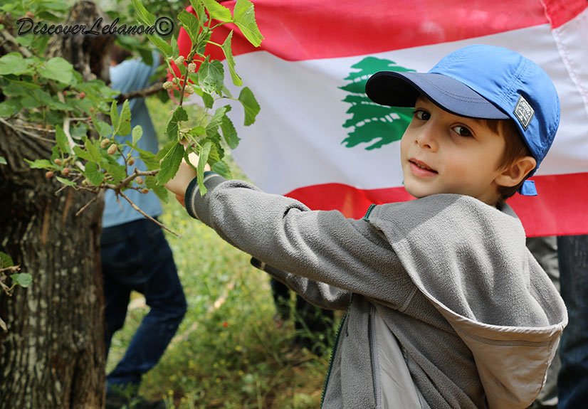 Searching smiles to your face... Follow our Twitter Account #twitterlebanon #lebanontwitter #boyflag #lebaneseflag #lebanonflag #twitter oxlb.com