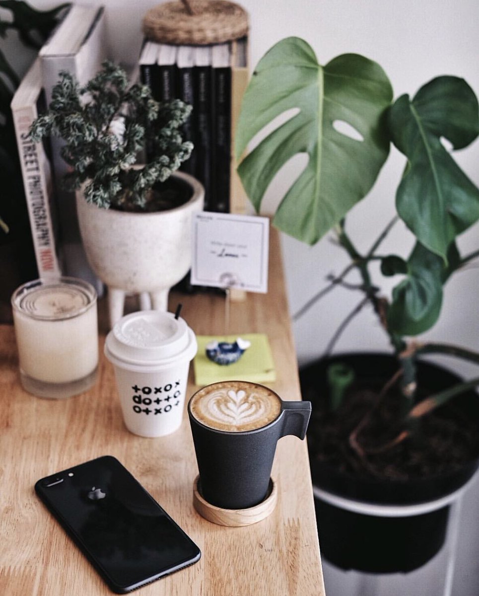 AppleandCoffee_'s tweet photo. Keep some 🌿 around at all times
#AppleAndCoffee https://t.co/lW9tPW8fi4