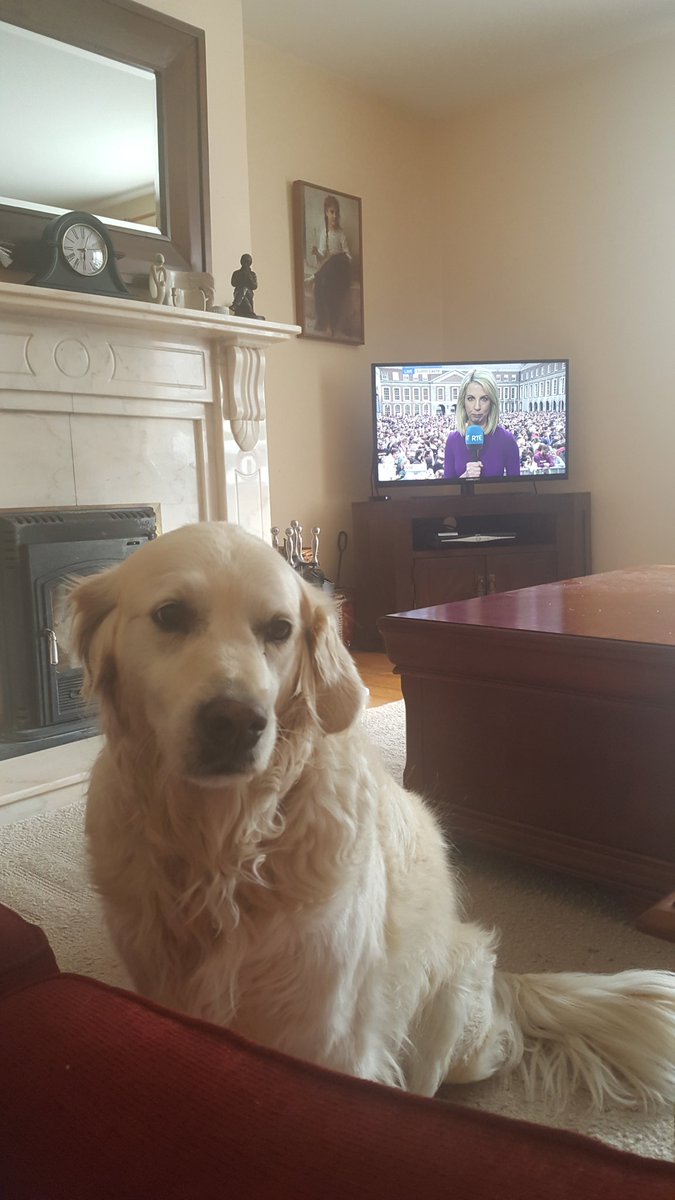 Catch72's tweet photo. Bonni wondering how much more results is required before walk time #8thref #RepealedThe8th #bettergo https://t.co/XIMMaWPCCA
