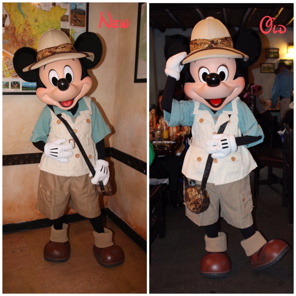 360DegreesofDis's tweet photo. First lunch of the #CharacterDiningTour, #TuskerHouse with #MickeyMouse in his new look! #DAK #DisneysAnimalKingdom #WDW #WaltDisneyWorld #ミッキーマウス https://t.co/pRRi7Kpjkk