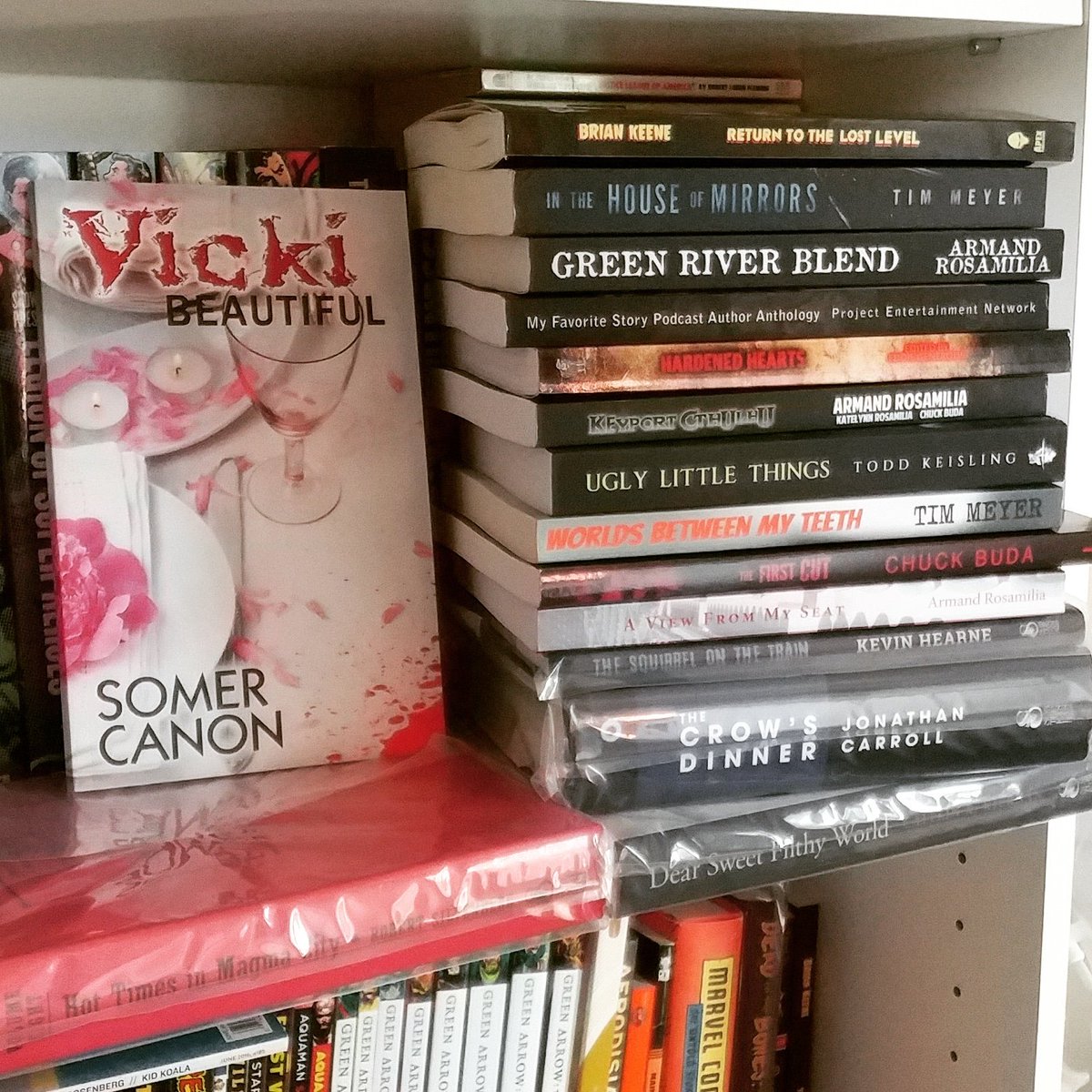 Books picked up in the past 2 weeks. Most from the Beers N Fears tour. Big reading weekend. 
#armandrosamilia #projectentertainmentnetwork #briankeene #timmeyer #chuckbuda #somercanon #books #horrornovels #ilovereading