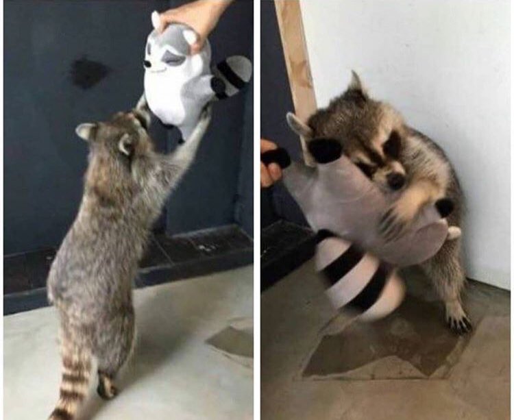 meakoopa's tweet photo. representation matters. https://t.co/4O0ugdoj7L