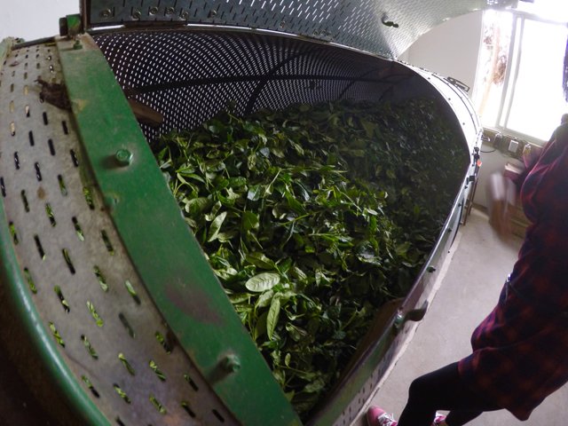 JalamTeas tweet media