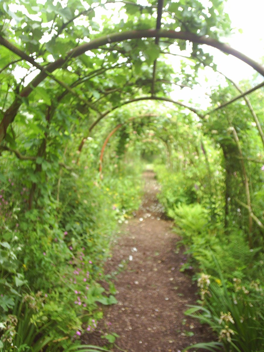 OtleyHall's tweet photo. So much happening in the Gardens at Otley Hall now the spring is turning into summer. Come and take a walk through the Wisteria covered archway and discover the beautifully scented Knot Garden, overhanging willows and the dappled nut walk. A feast for all of your senses. https://t.co/CCC0ntwUhl