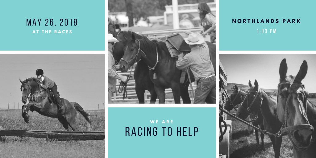 AlbertaTOBA's tweet photo. We’ll be @northlands_park for the races today, along with representatives from @thehorsesab for a $5,000 cheque presentation to support the work @TLCS16 is doing for off track Thoroughbreds! #RacingToHelp #alittletlc https://t.co/qq6KkxzPSr