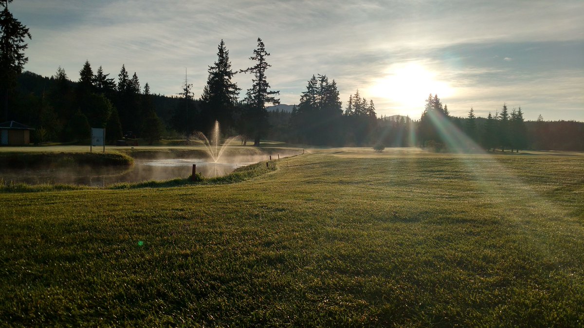 Shaun Reid tweet media