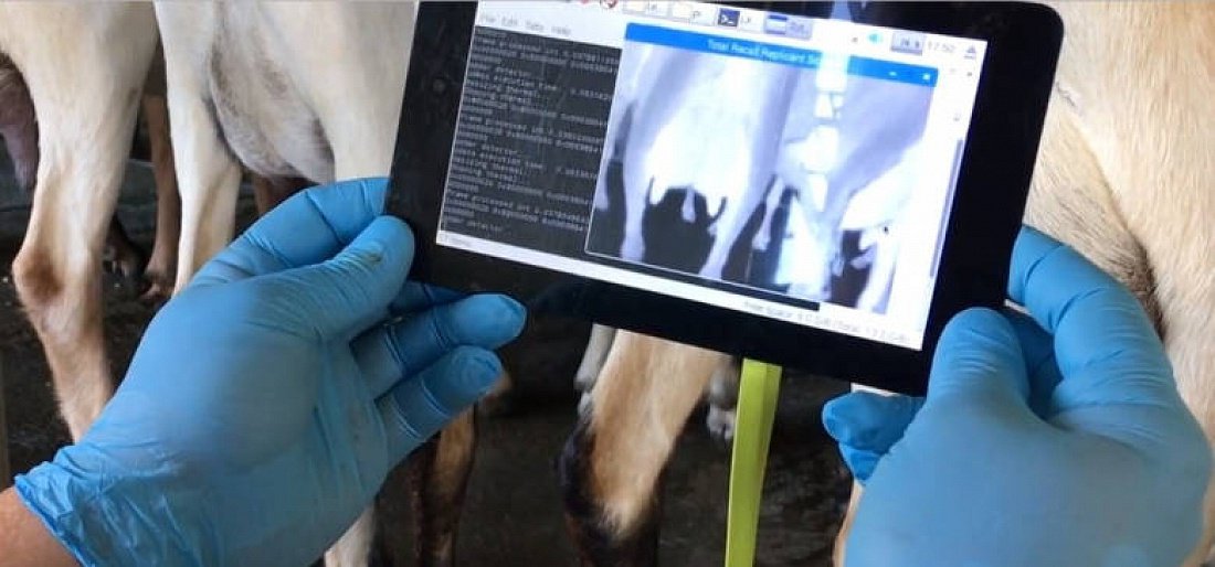 AgriExpoEmag's tweet photo. Livestock Tech: Who Is the Farmer of the Future? #AgriExpoEmag https://t.co/Q0sPtk6ZVA https://t.co/StFL1FPOBJ
