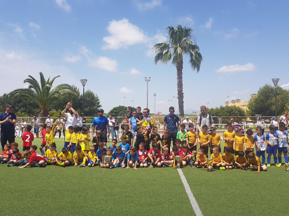 Pedro Meseguer tweet media