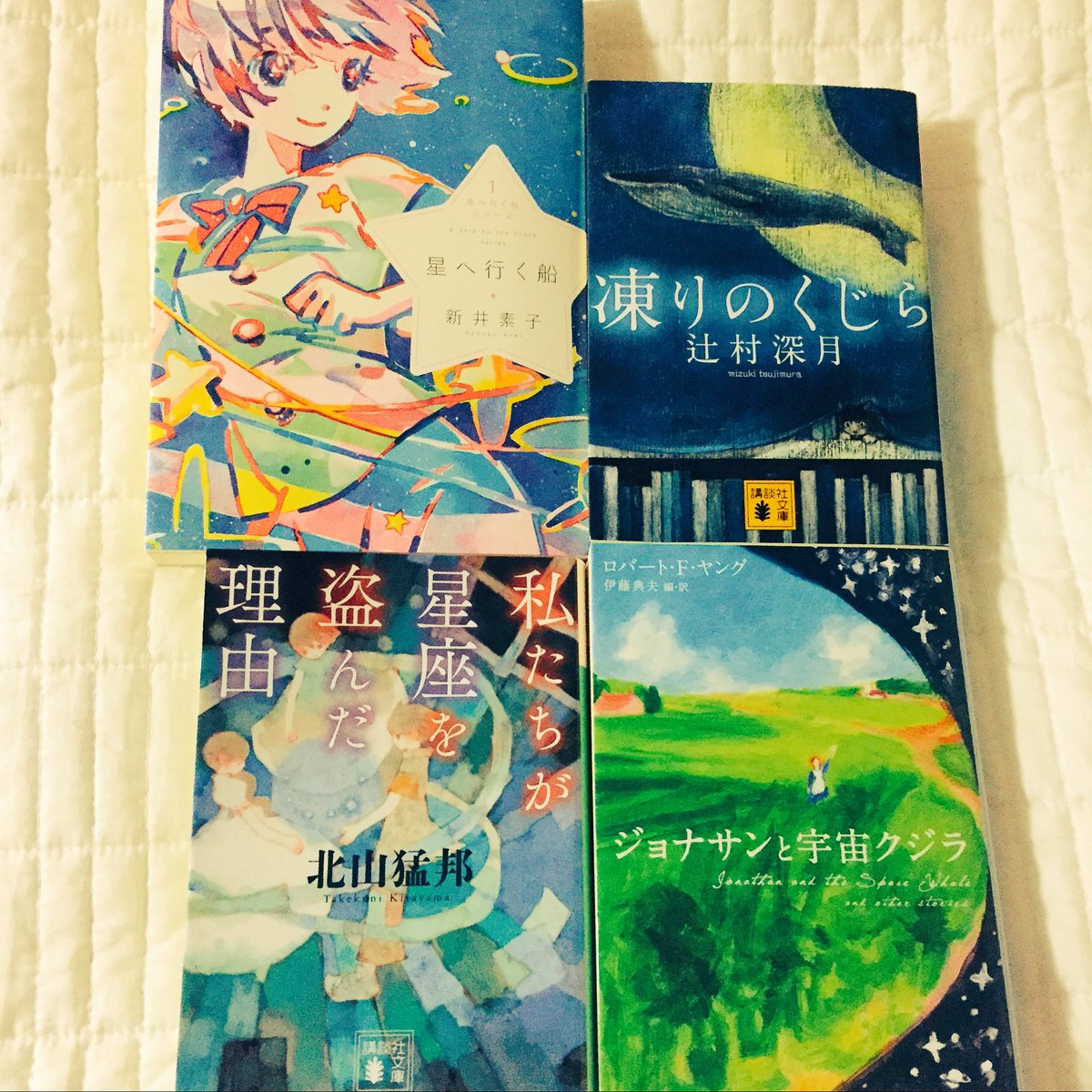 美しいと思える小説のタイトル 美しいと思える小説のタイトル