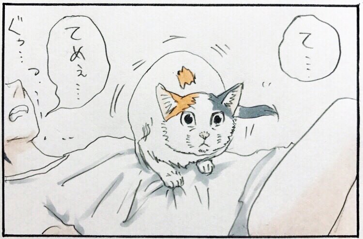 猫さんあるあるすぎる ドンッ に共感多数 使命感に満ちた表情で 我々はアスレチックの一部 Togetter