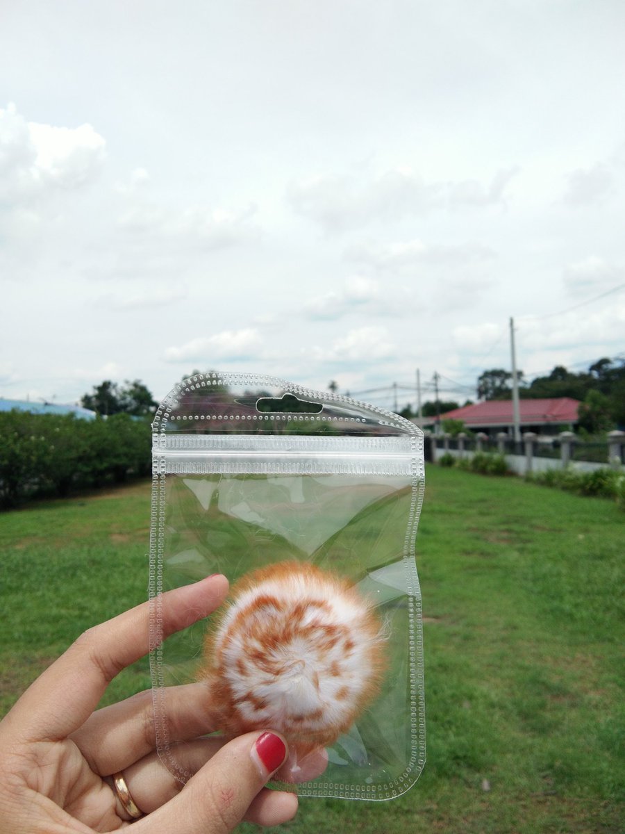 myshitsf's tweet photo. SERIOUS CANTIK YALLSSS๐๐๐ Popsocket fluffyyyy, bulu lembut sangattttโคโคโคโค Dah la lembut, bila pakai makin lama makin KEMBANG dan CANTIK ๐
Takk tipu tau, sebab sis pun pakai yang ni ๐
Rm10 je tapi kalau nak jimat, beli 3 dan ke atas free postage ๐
#popsocketmalaysia https://t.co/YP17DP6wcy