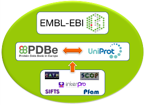 read Использование свежих и замороженных ягод красной