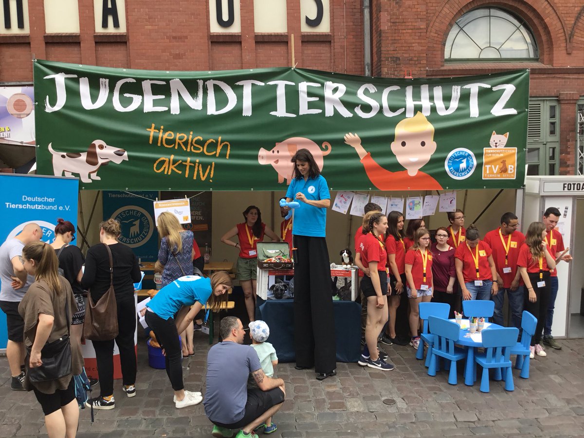 Tierschutzbund On Twitter Unser Jugendtierschutz Versorgt