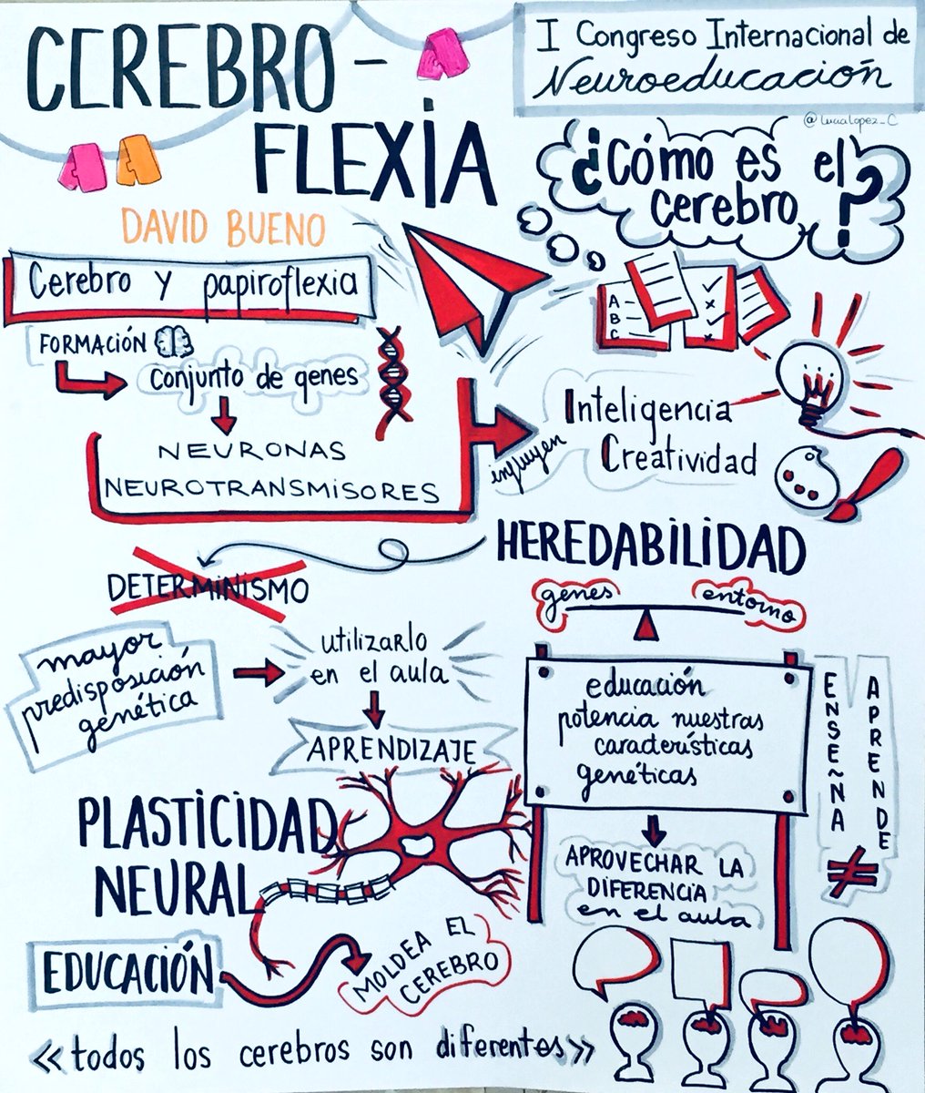 Cerebroflexia. David Bueno nos presenta la plasticidad del cerebro y la importancia de la educación para potenciar las características genéticas de este.

#CongresoNeuroEdu
