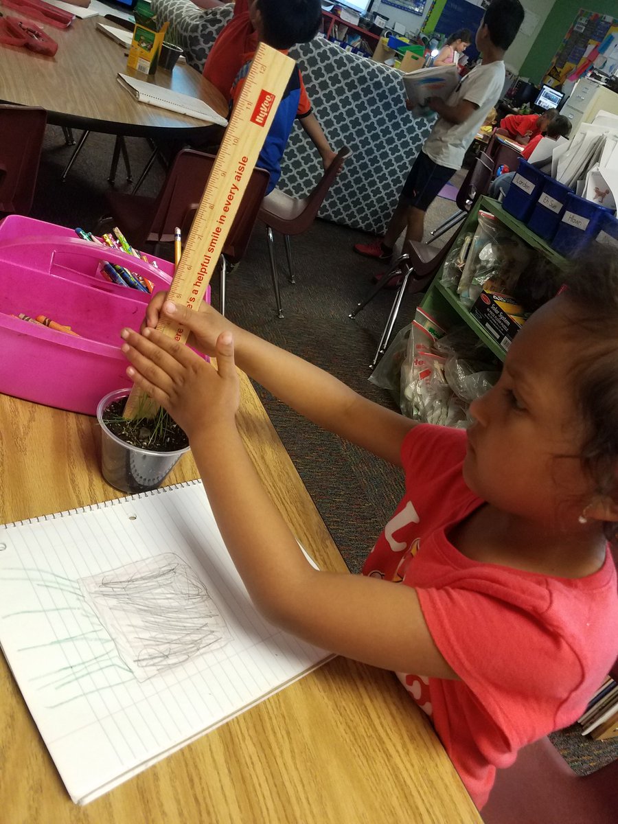 cvtigersKA's tweet photo. 1. #Kindergarten students made observations to determine the effect of sunlight on Earth's surface. Then designed a zoo that would help keep animals cool on a hot &amp; sunny day.

2. We have been growing grass &amp; keeping data on how many inches it has grown.
#Scienceisfun #STEM #PBL https://t.co/23SCpTDlN6
