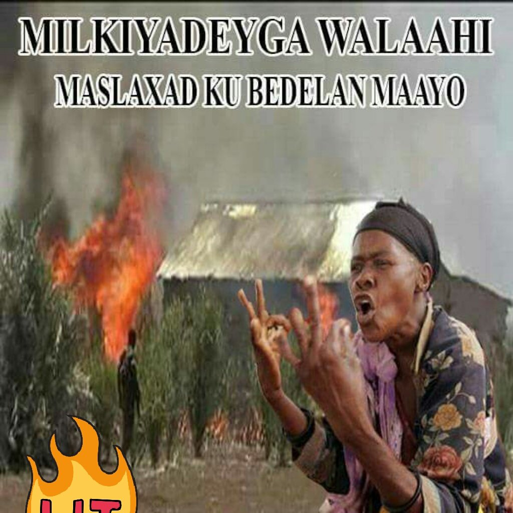 Shakar Yare (@yareshakar) on Twitter photo 