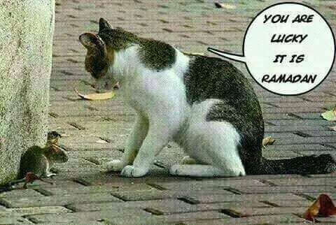 Shakar Yare (@yareshakar) on Twitter photo 