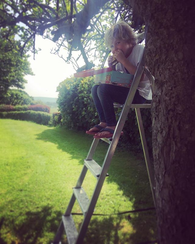 MirandaBakes's tweet photo. Ladder picnic #upatree #littlest #weekends #home #adventures #lunchinabox #betteroutdoors #summertime #thekitchenschool #thekitchengarden #swallowsandamazons xx https://t.co/281cinnTCs https://t.co/GleenYjric