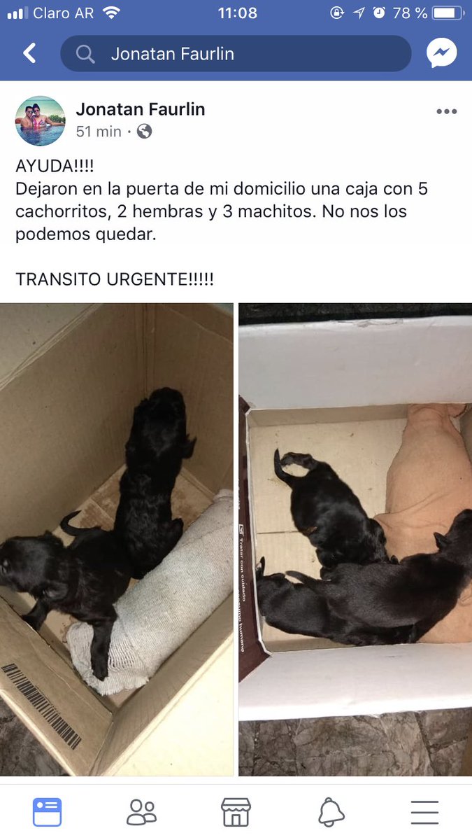 Compartir porfa!!! Y si saben de alguien contactarse !! 🐶