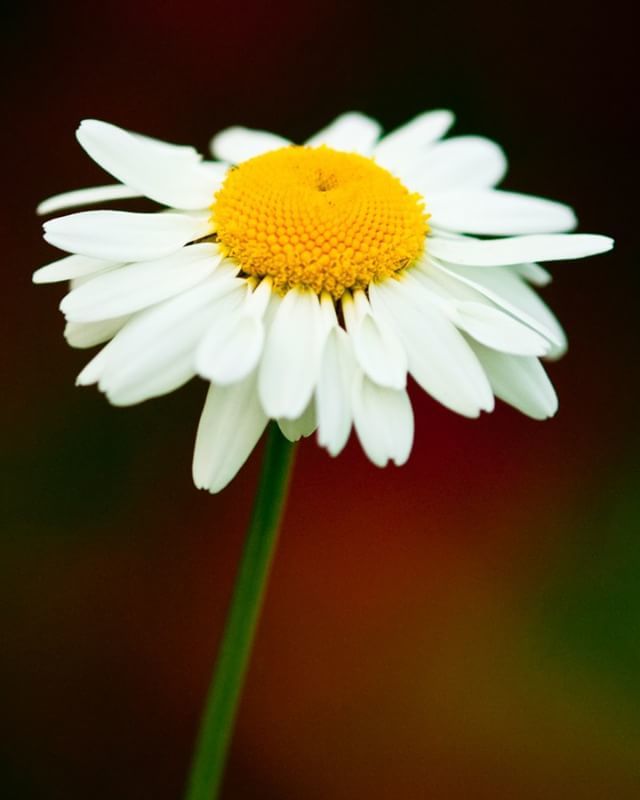 Ed_Heaton's tweet photo. Enjoy the weekend everyone
https://t.co/Qpj65YeY5y | OP/TECH USA | Singh-Ray Filters | Really Right Stuff | HoodmanUSA | DxO | Topaz Labs | | #OPTECHUSAAmbassador | #ImageMaster | #Hoodman | #MasterofLight | #BestofLight | #SinghRayAmbassador | #itsall… https://t.co/hyKRFLx2Wt https://t.co/poF4EvS1Ut