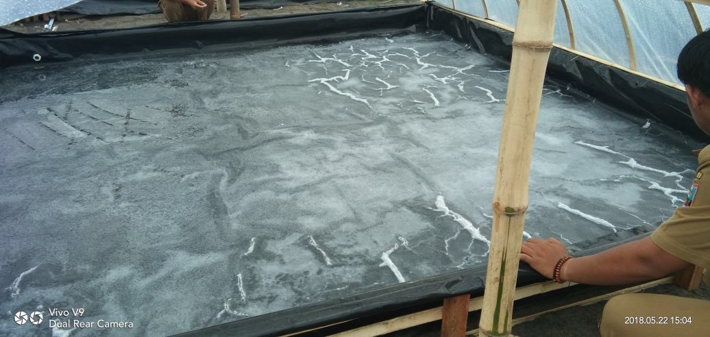 Mulyoto Pandu tweet media