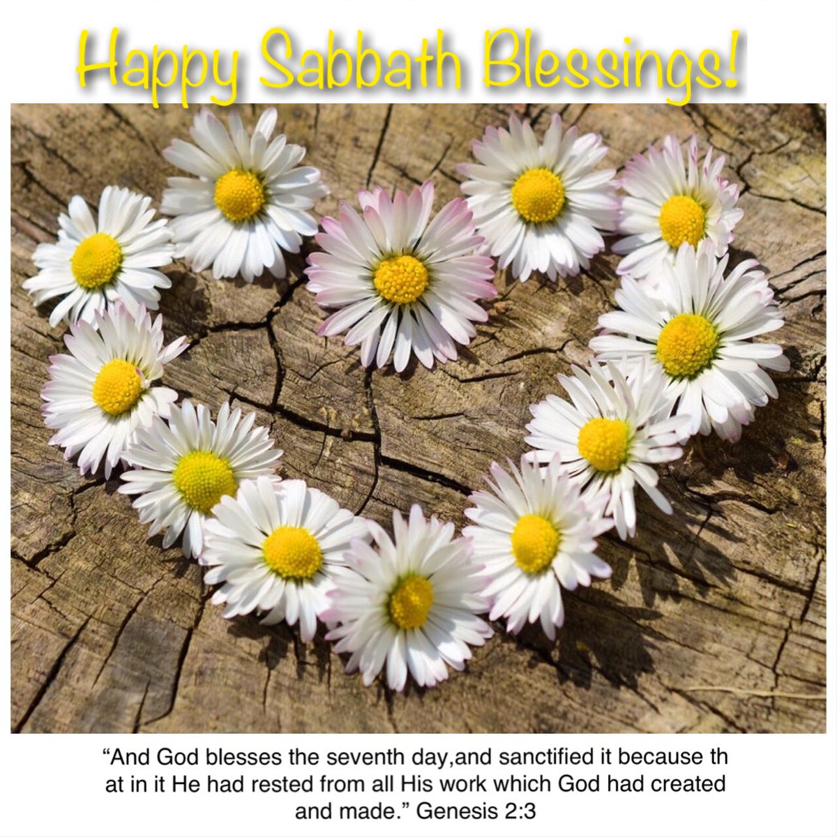 Obedient Lifestyle Twitterren Happy Sabbath Blessings Dayofrest Sabbathblessings Sabbathday 7thday Seventhday Sdr Health Plantbased Garden Bible Seventhdayremnant Pray Study Godsword Worship Love Fitfam Rawvegan Wholefood