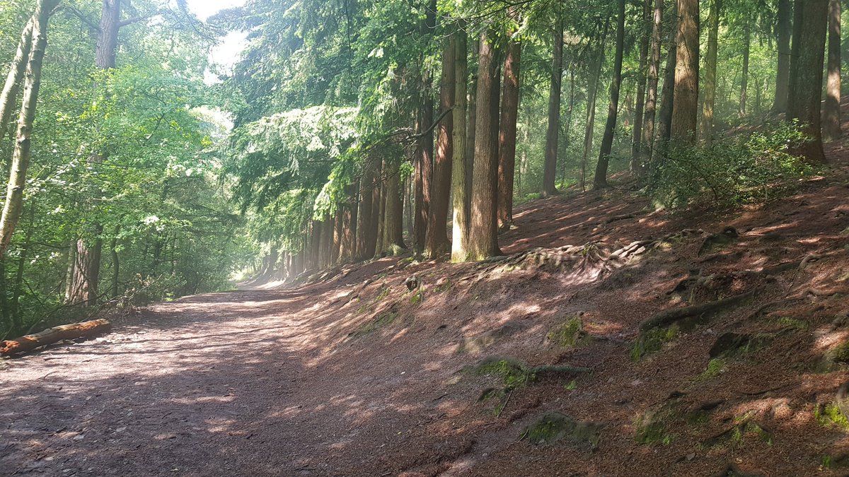 DofeDec's tweet photo. Lovely afternoon for DofE https://t.co/Q2SlypD0Eh