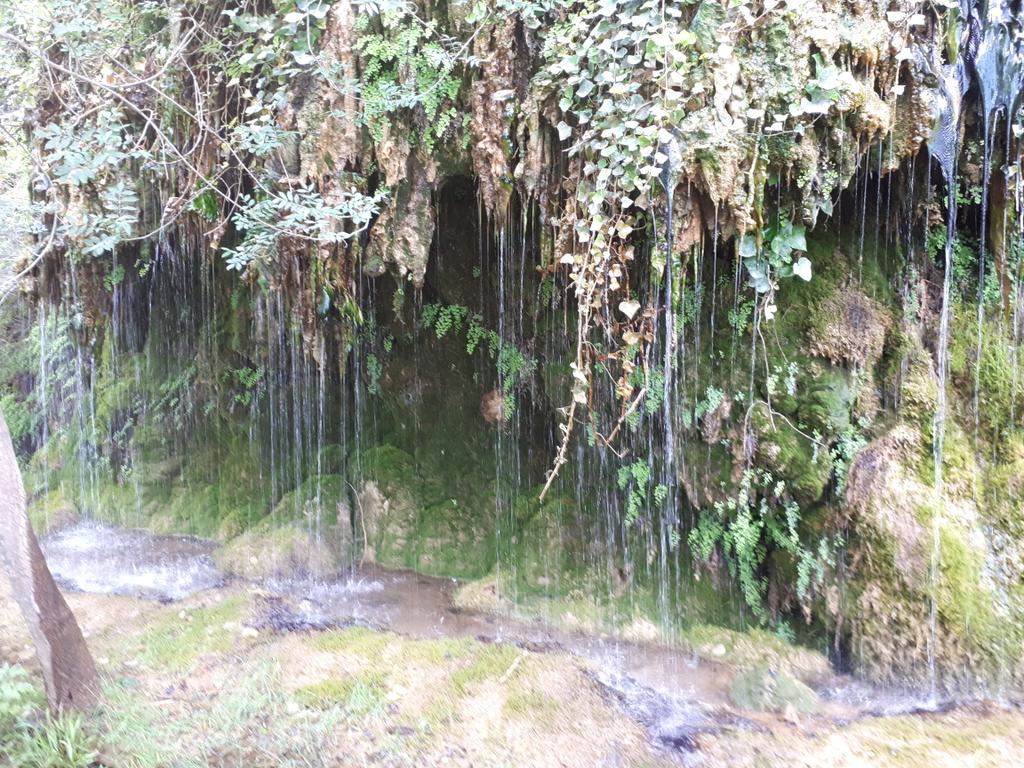 CarineSobisiak's tweet image. Atelier balade à #SudWeb